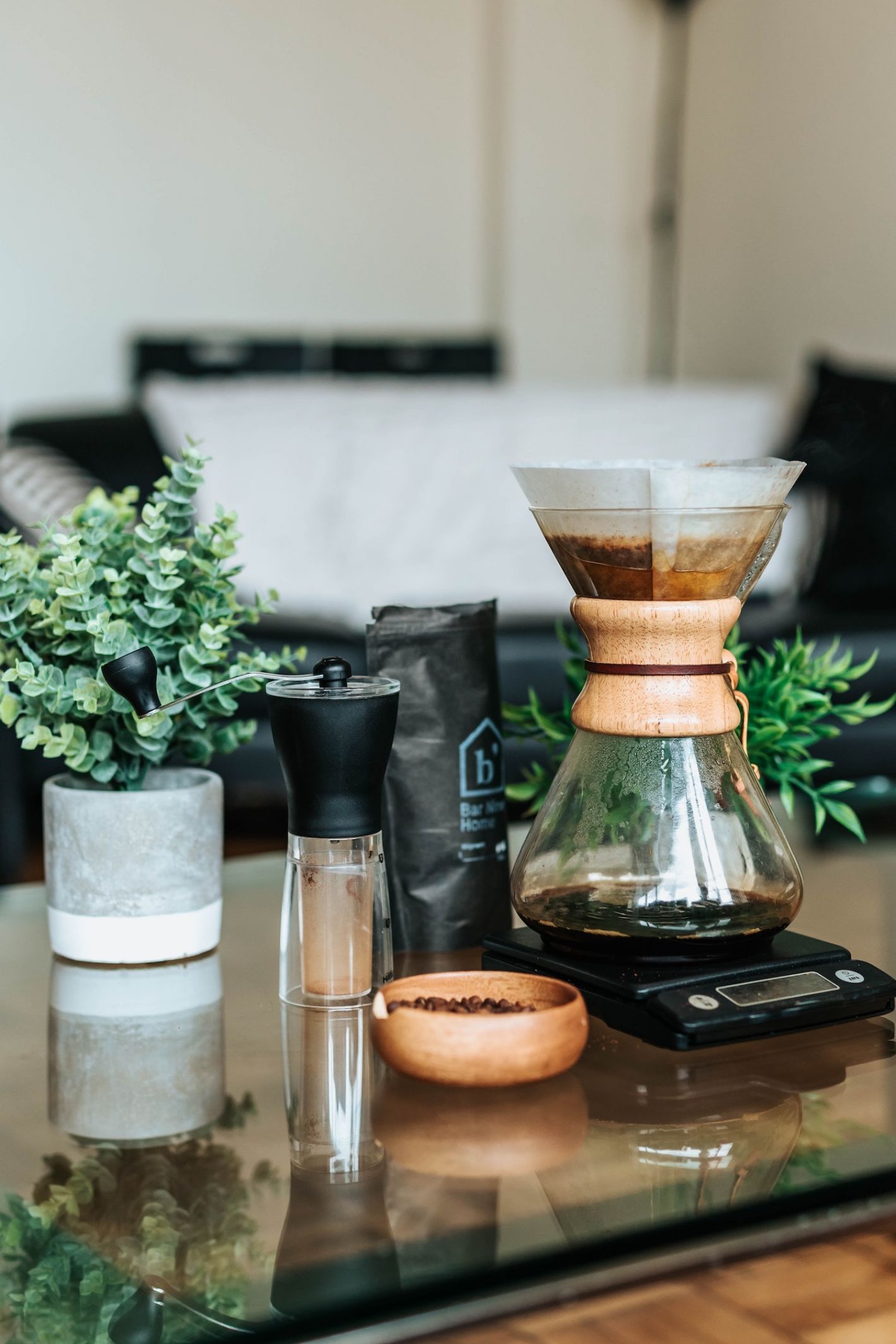 koffiefilter boven glazen fles plantje in potje