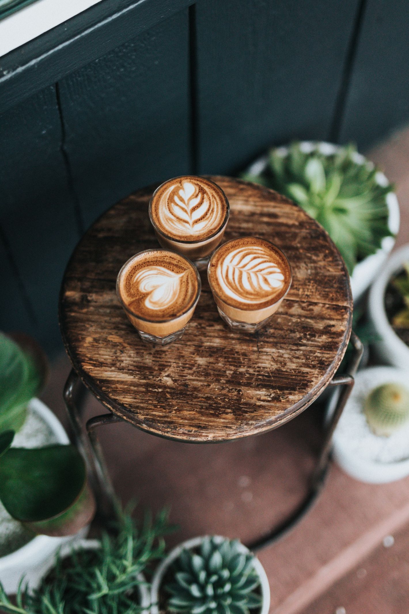 trio koffie latte op een houten krukje en op de grond daaromheen vetplantjes in witte potten