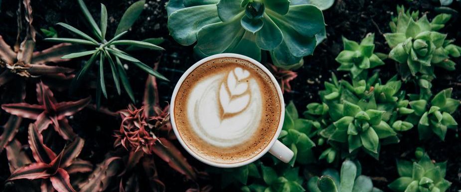 Seizoens koffiebonen blends