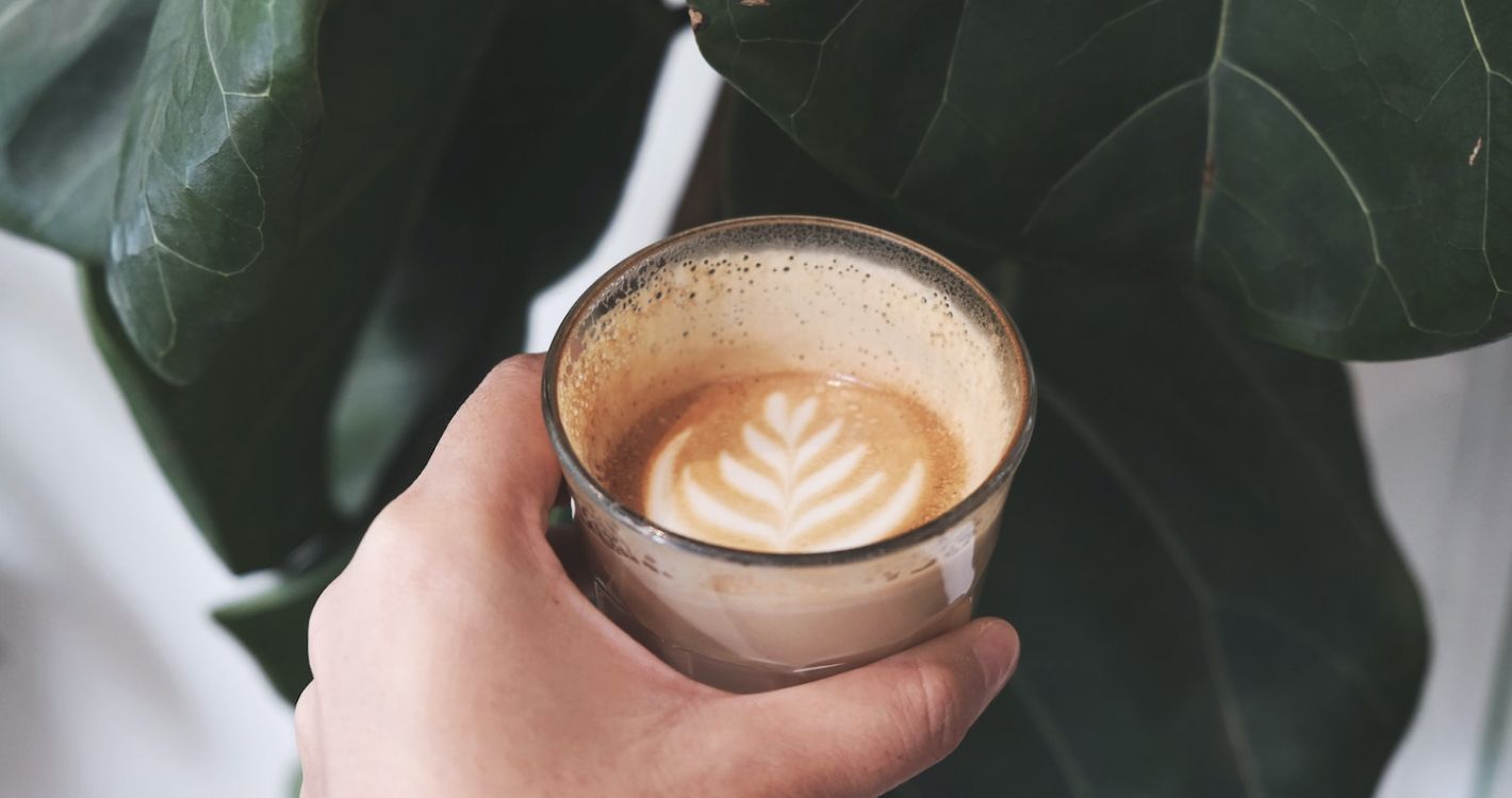 hand met 'caffe latte' plant op de achtergrond