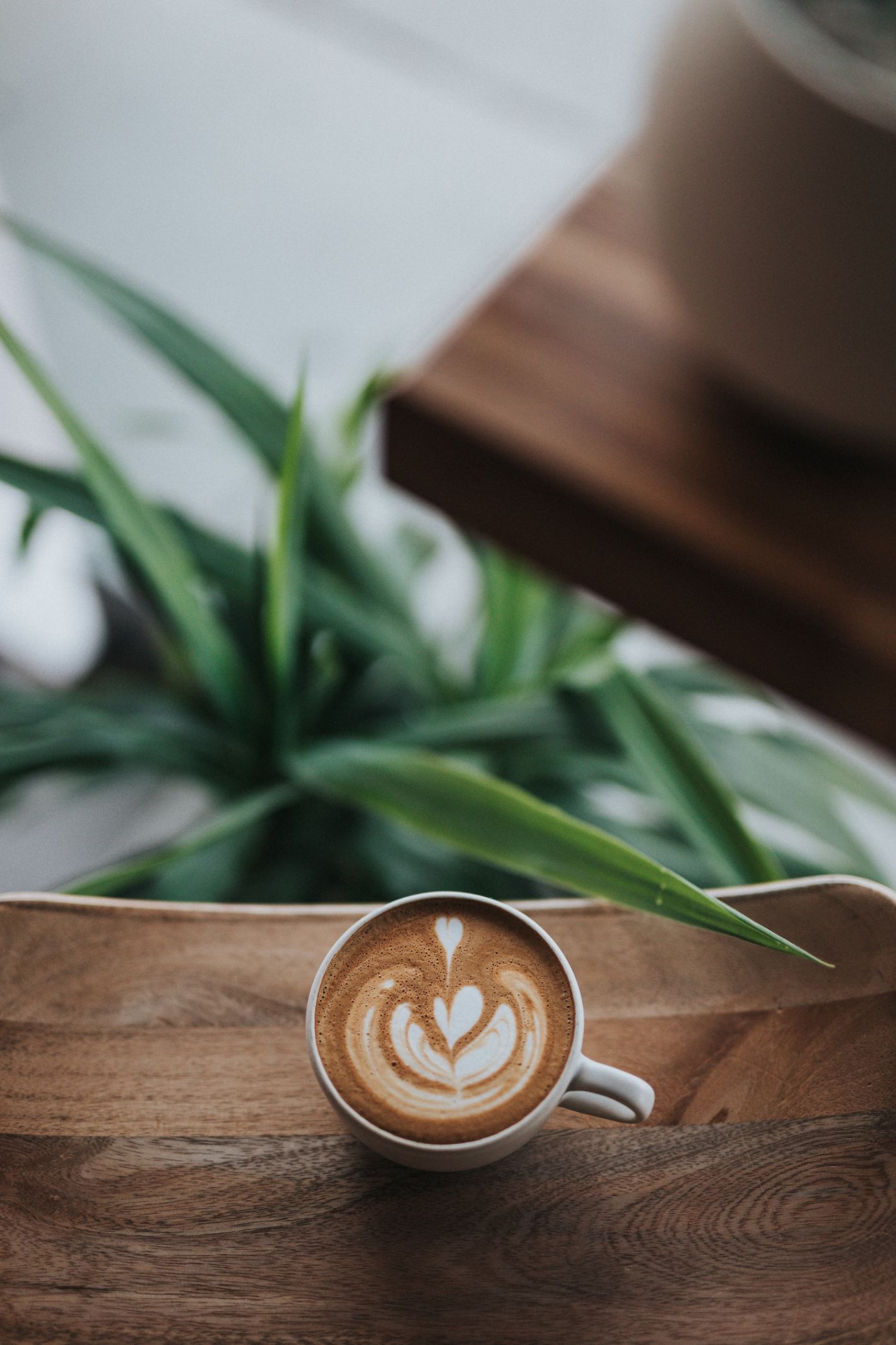 cappuccino op houten tafel met kamerplant
