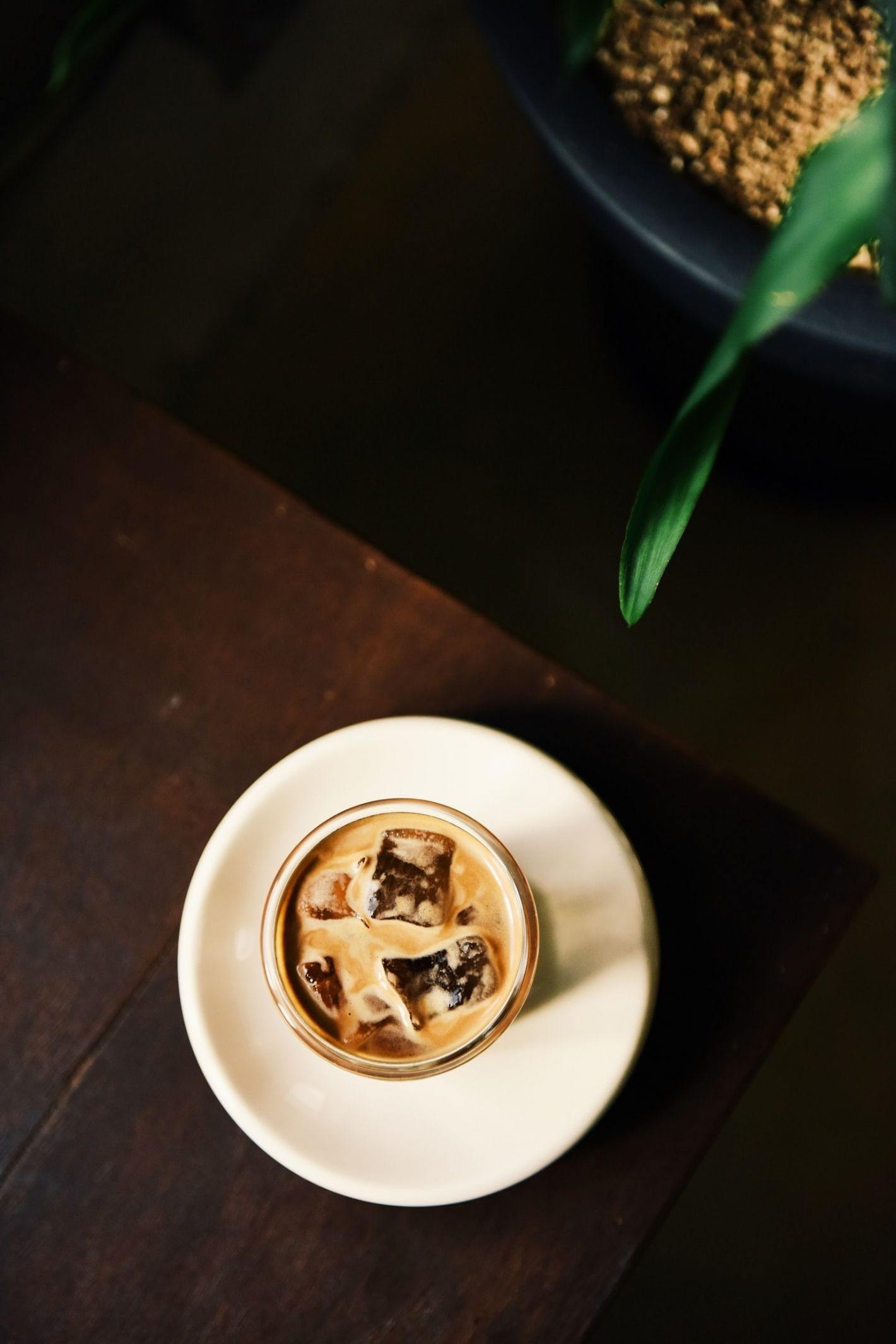 shot van bovenaf ijskoffie op wit schoteltje plant