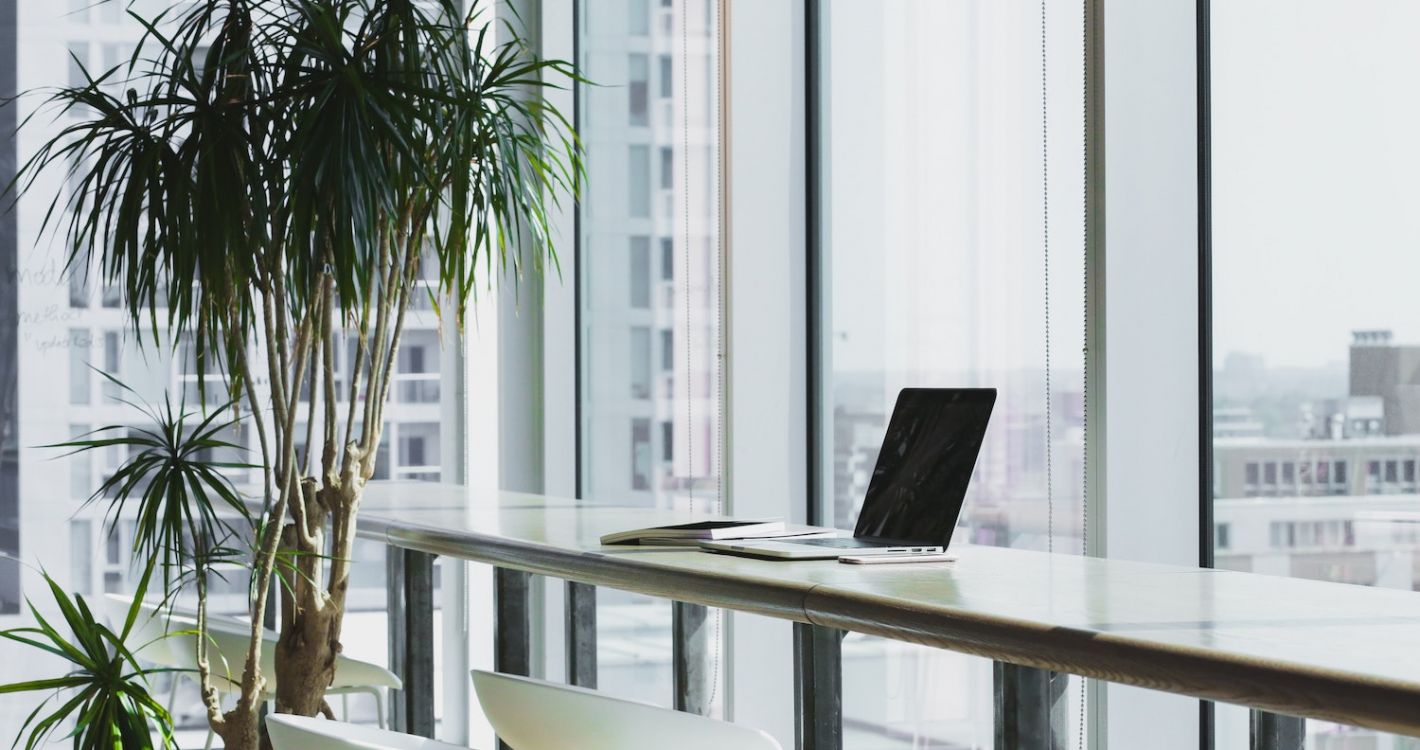 kantoor wit decor en planten met uitzicht op de stad