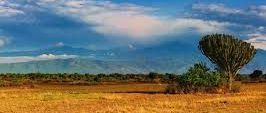 Uganda