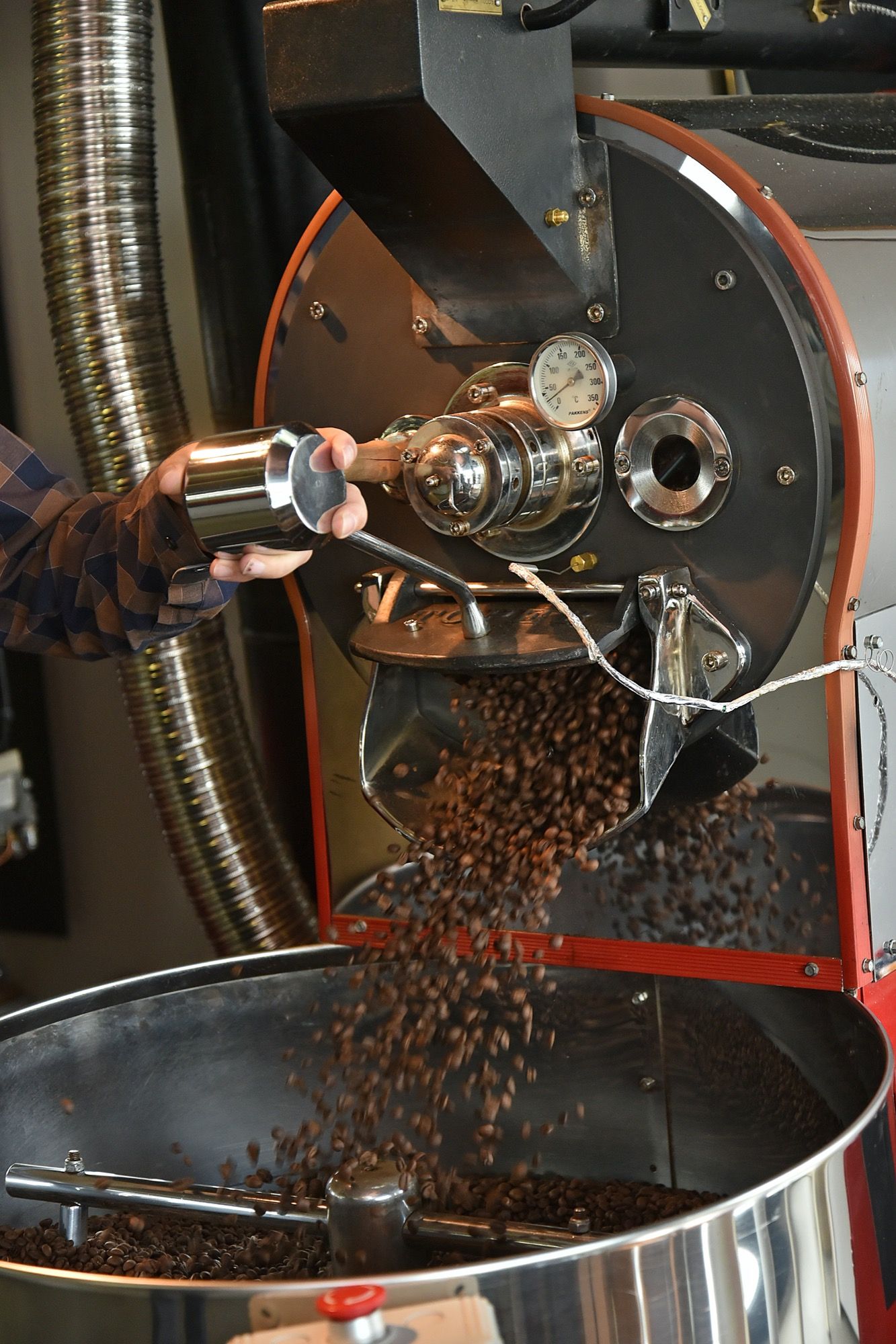 koffiebrander, verse koffiebonen