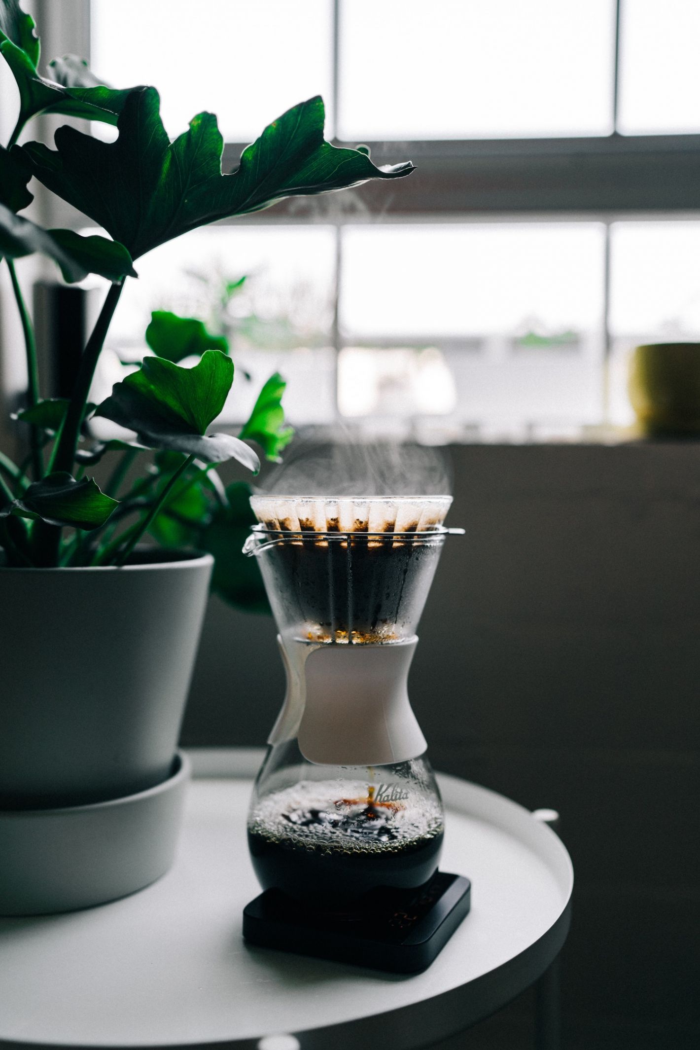 kamerplant op tafeltje met kleine filterkoffie